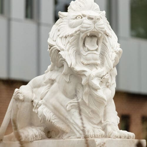 A white lion statue