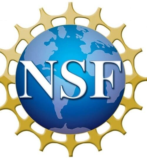 NSF logo