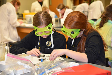 Two students during Science Olympiad.