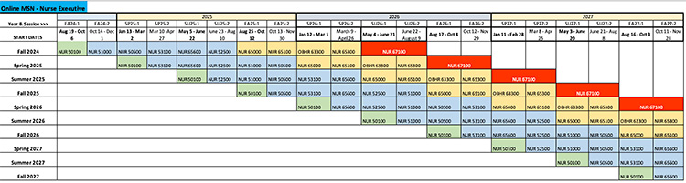 The Carousel of Courses for the MSN, Nurse Executive concentration.