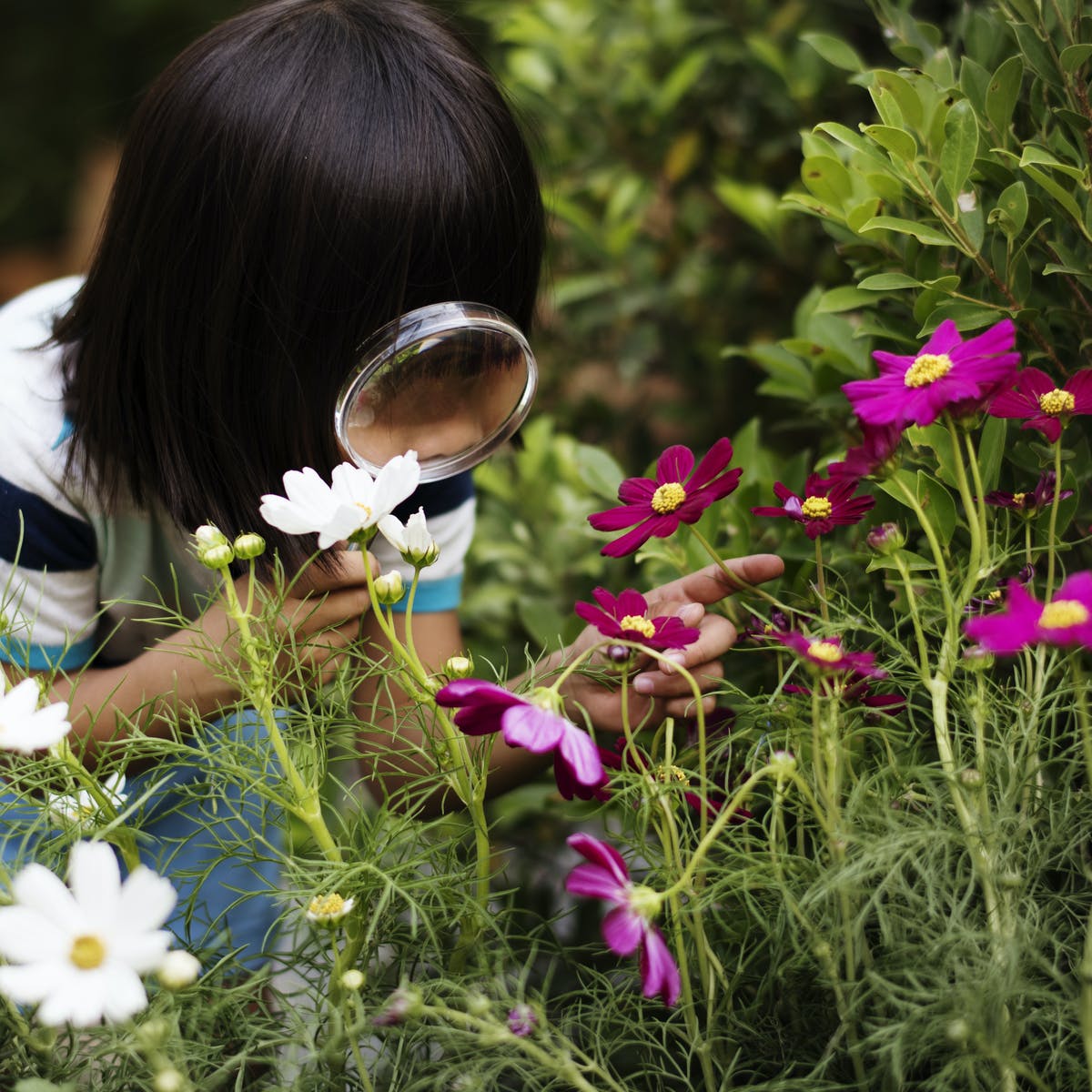 (Cancelled due to weather) Art in Nature- Nature Detectives - Gabis ...