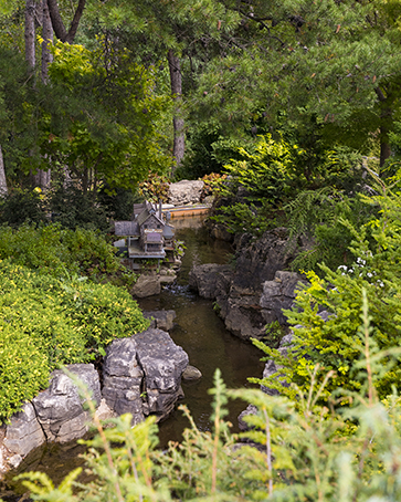 Gabis Arboretum