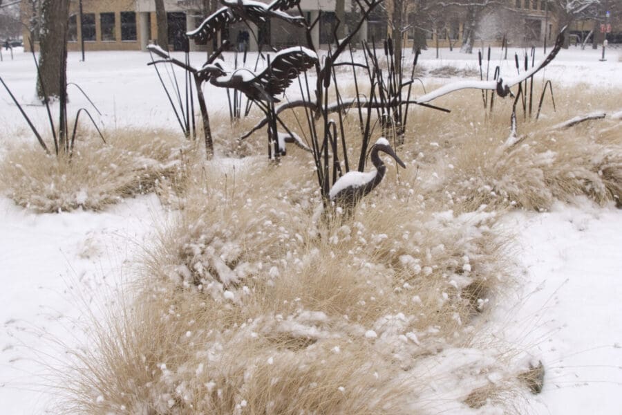 A campus sculpture featuring herons set amidst snow and prairie grasses