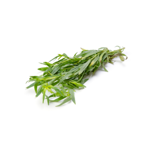 Image of French Tarragon