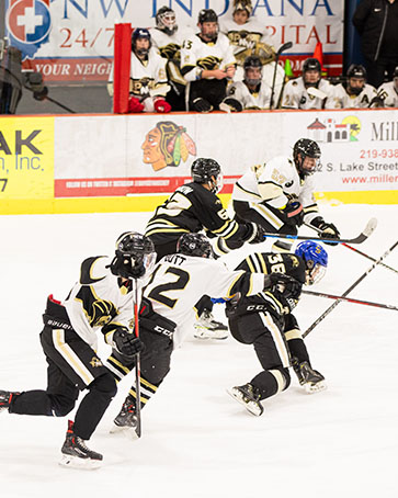 PNW men's hockey during a game