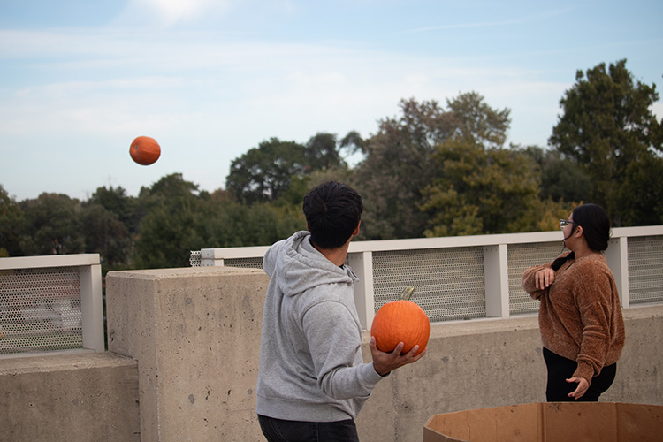 pumpkin toss photo.