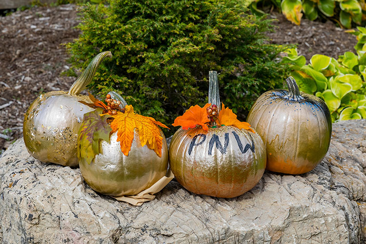 Pumpkin Carving And Painting Westville Campus Purdue University