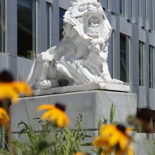 A lion sculpture in front of the Nils K. Nelson Bioscience Innovation Building