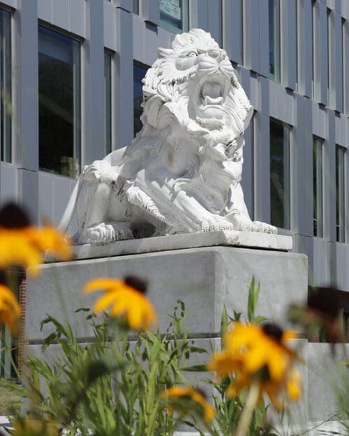 A lion sculpture in front of the Nils K. Nelson Bioscience Innovation Building