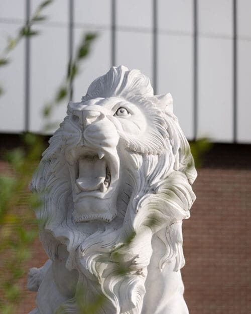 A white stone lion statue