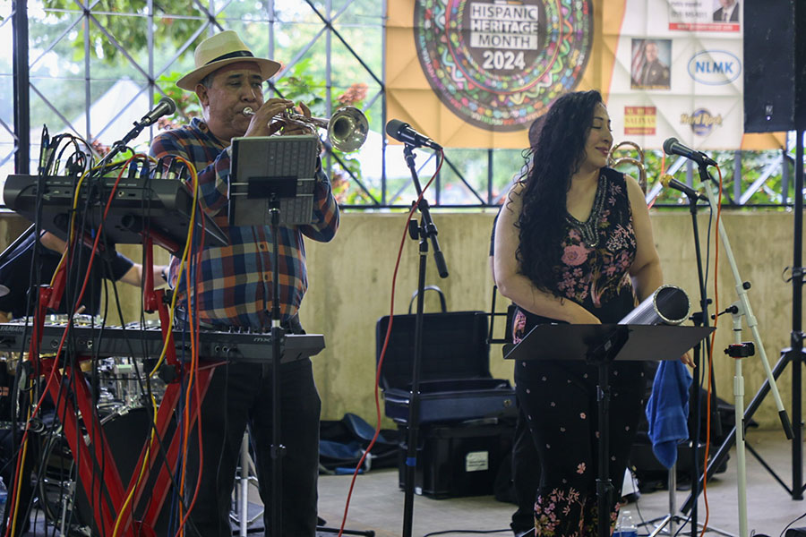 Músicos actúan durante un festival.