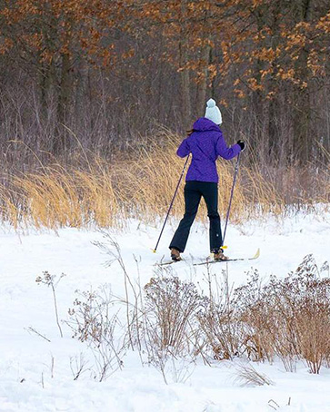 A person in a purple coat and white hat cross-country skis at Oak Ridge Park