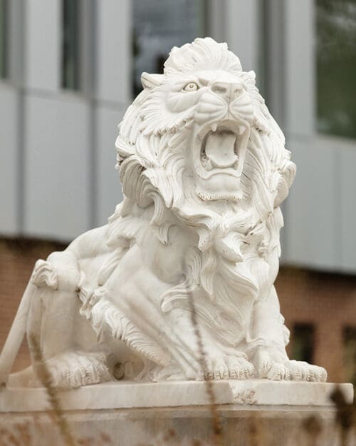 A white lion statue