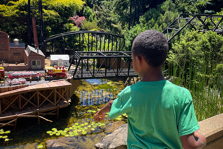 Child in a green shirt pointing his hand at the pond at Gabis Arboretum.